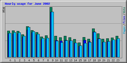 Hourly usage for June 2002